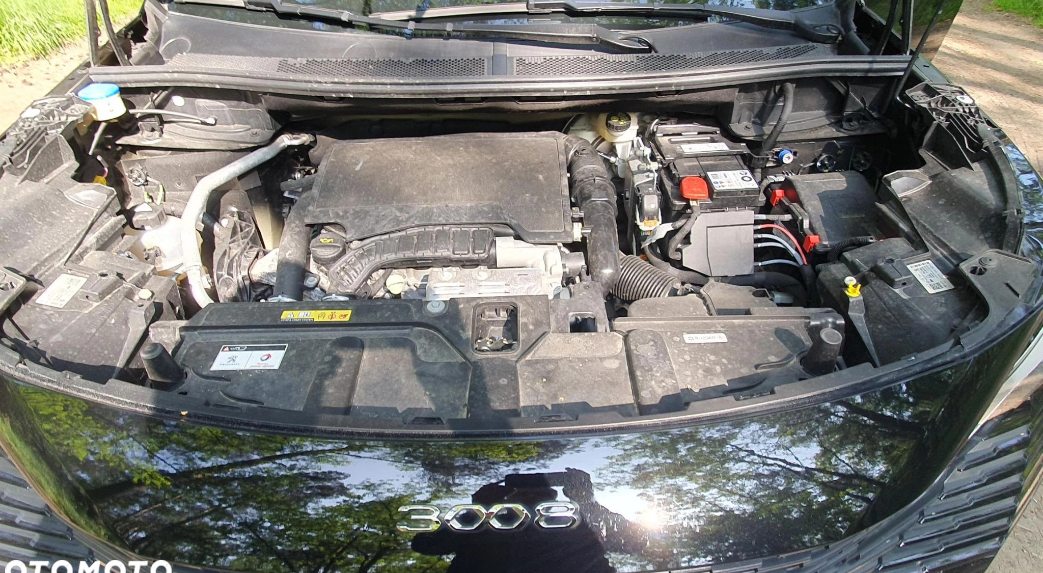 Peugeot 3008 cena 107900 przebieg: 18600, rok produkcji 2021 z Zelów małe 191